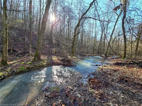 TBD Big Bear Canyon Trail, Chester, AR 72934