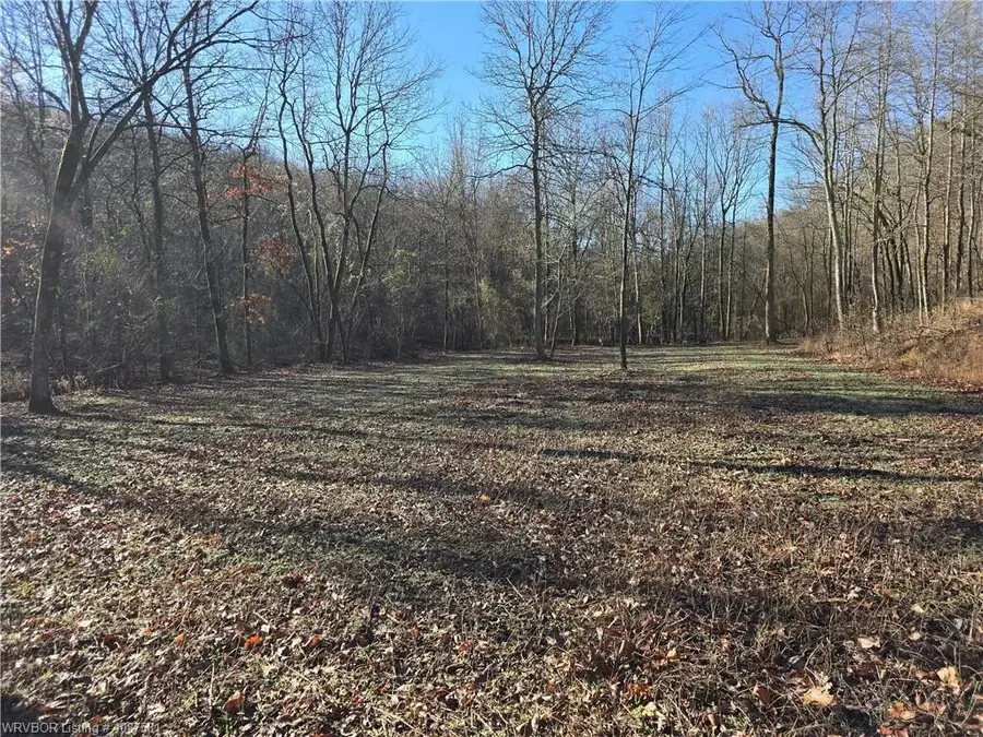 TBD Big Bear Canyon Trail, Chester, AR 72934 - #2