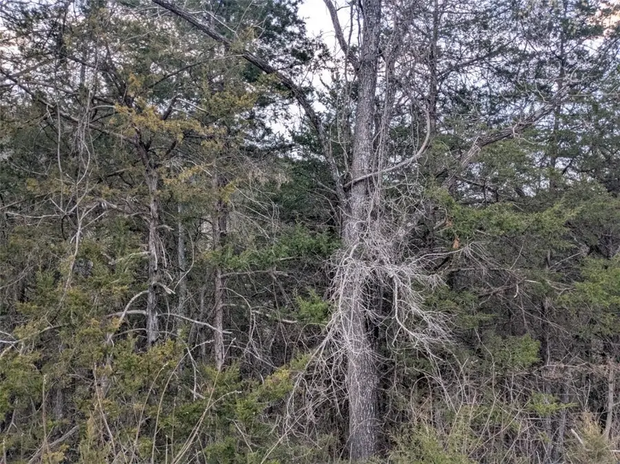 TBD Wild Turkey Drive, Holiday Island, AR 72631 - #3