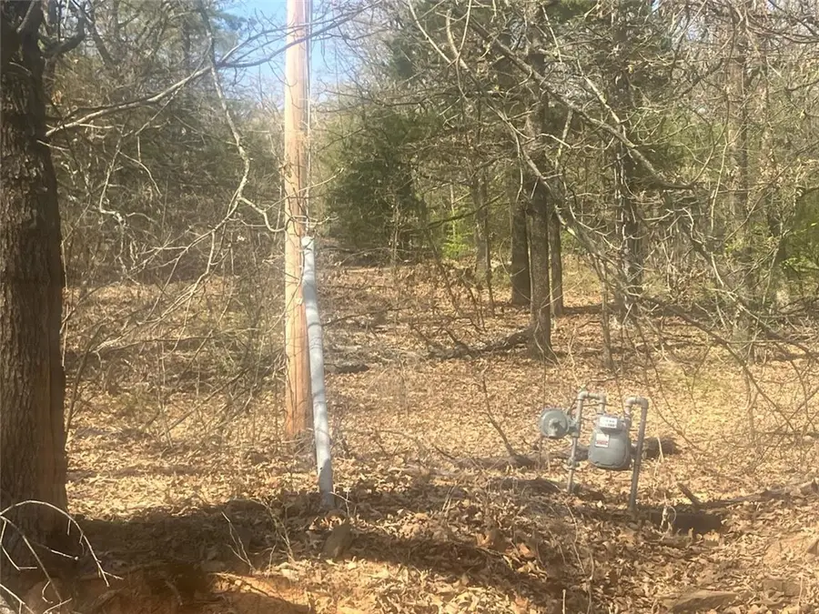 TBD N Main Street, Coal Hill, AR 72832 - #2