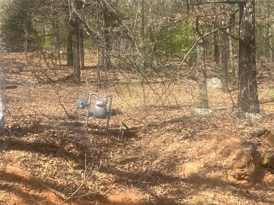 TBD N Main Street, Coal Hill, AR 72832 - #3