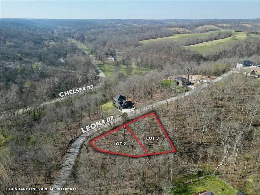 Lot 2 & 3 Leona Drive, Bella Vista, AR 72715 - #3