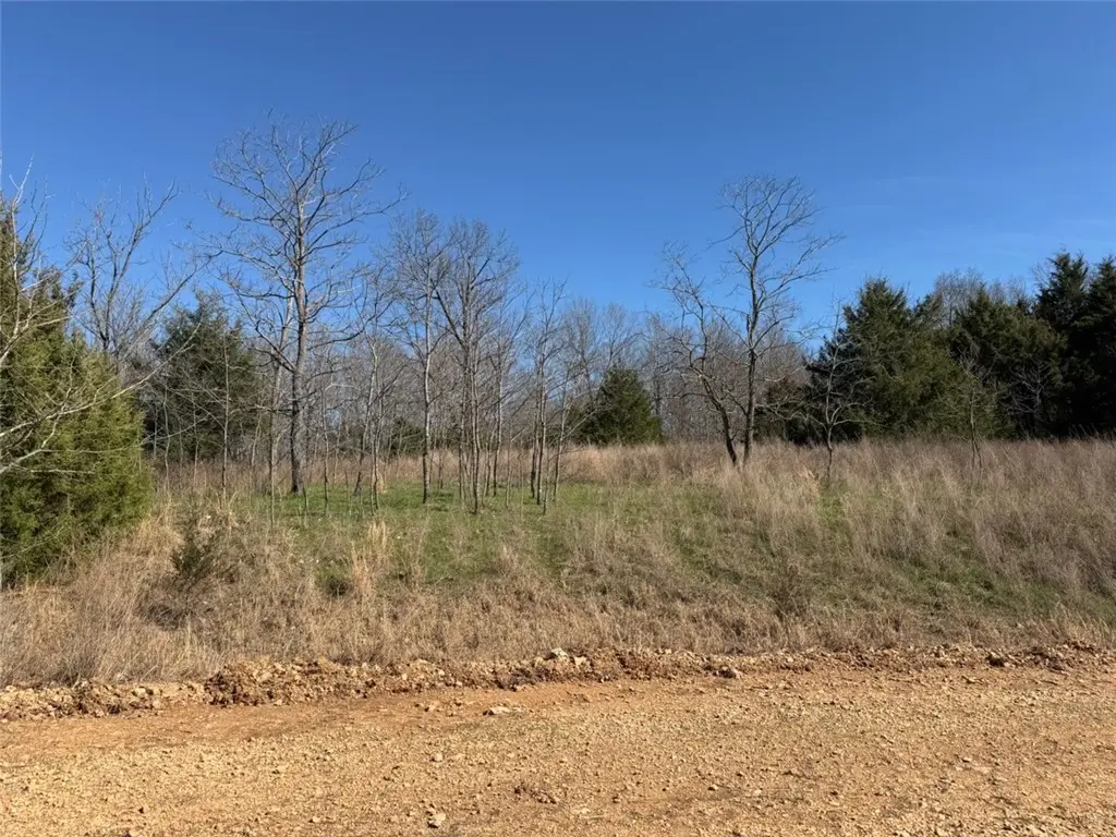 Mc 3015 72687 Road, Pyatt, AR 72672 - #1