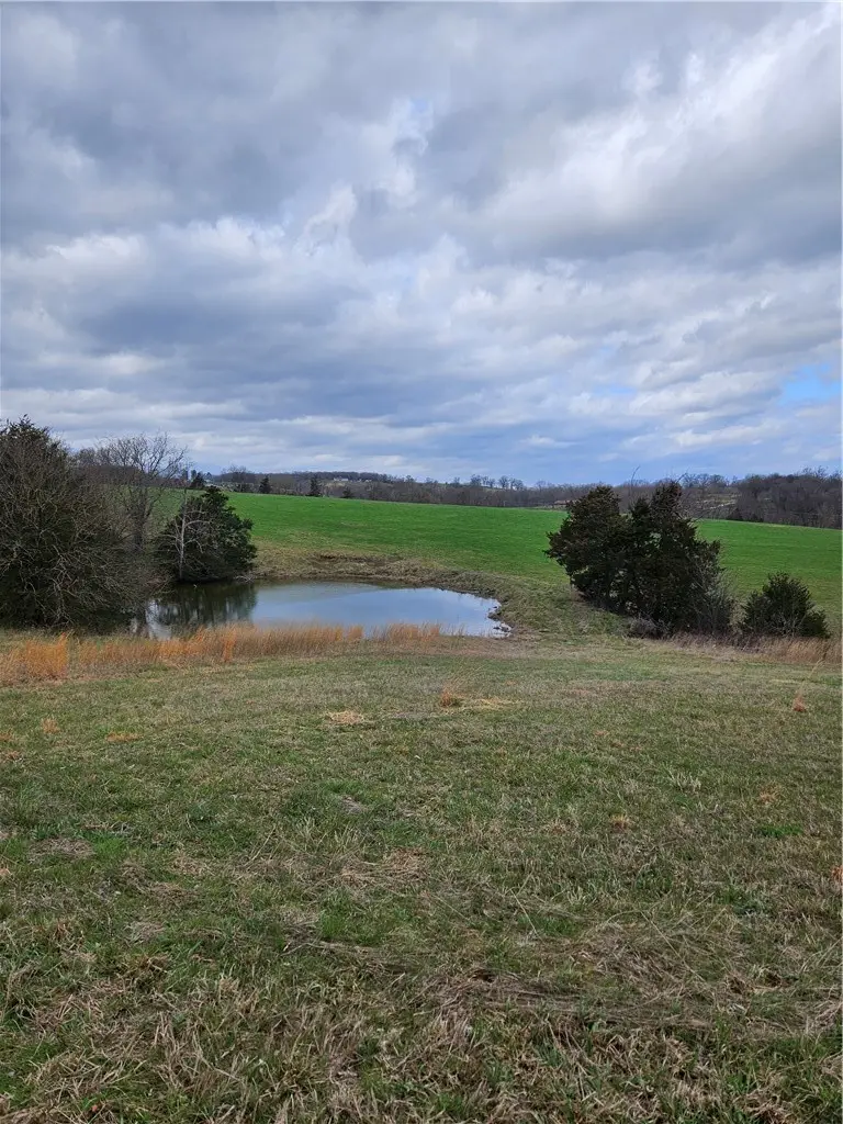 21470 Highway 45, Fayetteville, AR 72703 - #3