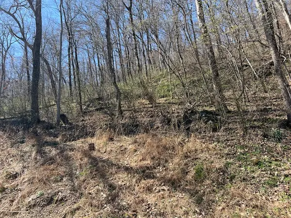 44 Wildcat Drive, Holiday Island, AR 72631