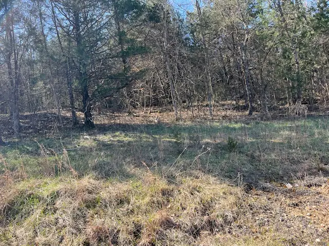 29 Wild Turkey Drive, Holiday Island, AR 72631 - #3