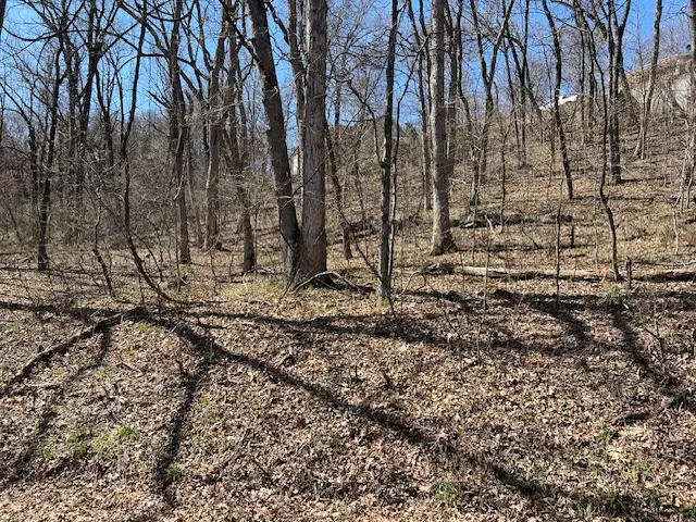 64 Thunderbird Drive, Holiday Island, AR 72631 - #2