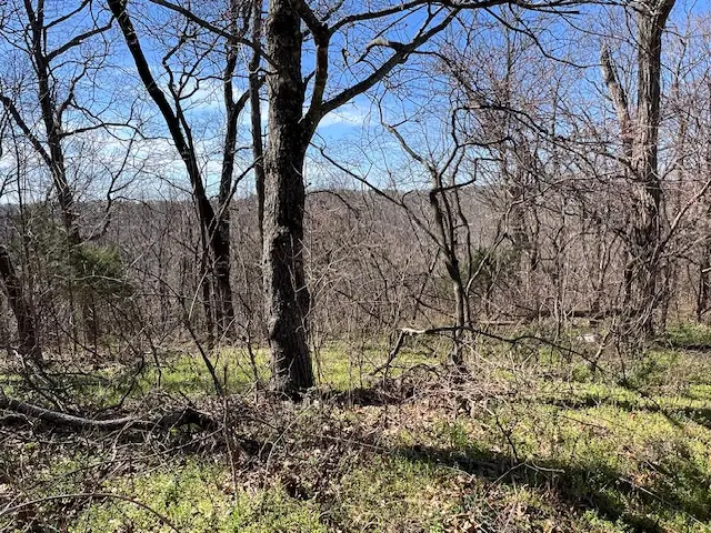 85 Mercury Lane, Holiday Island, AR 72631 - #2