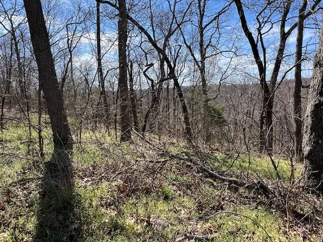 85 Mercury Lane, Holiday Island, AR 72631 - #3