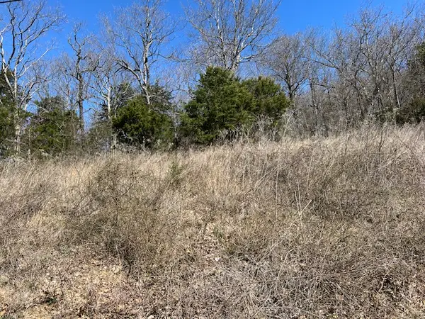 225 Stateline Drive, Holiday Island, AR 72631