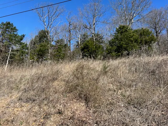 225 Stateline Drive, Holiday Island, AR 72631 - #2