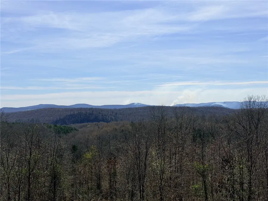 000 Able Drive, Saint Joe, AR 72675 - #2