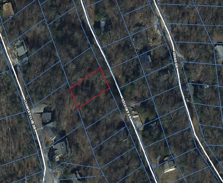 Lot 161 Hickory Drive, Garfield, AR 72732 - #3