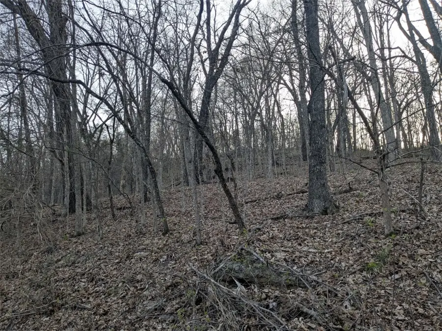 TBD Thunderbird Drive, Holiday Island, AR 72631 - #2