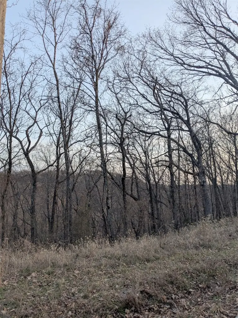 TBD Pyramid Lane, Holiday Island, AR 72631 - #2