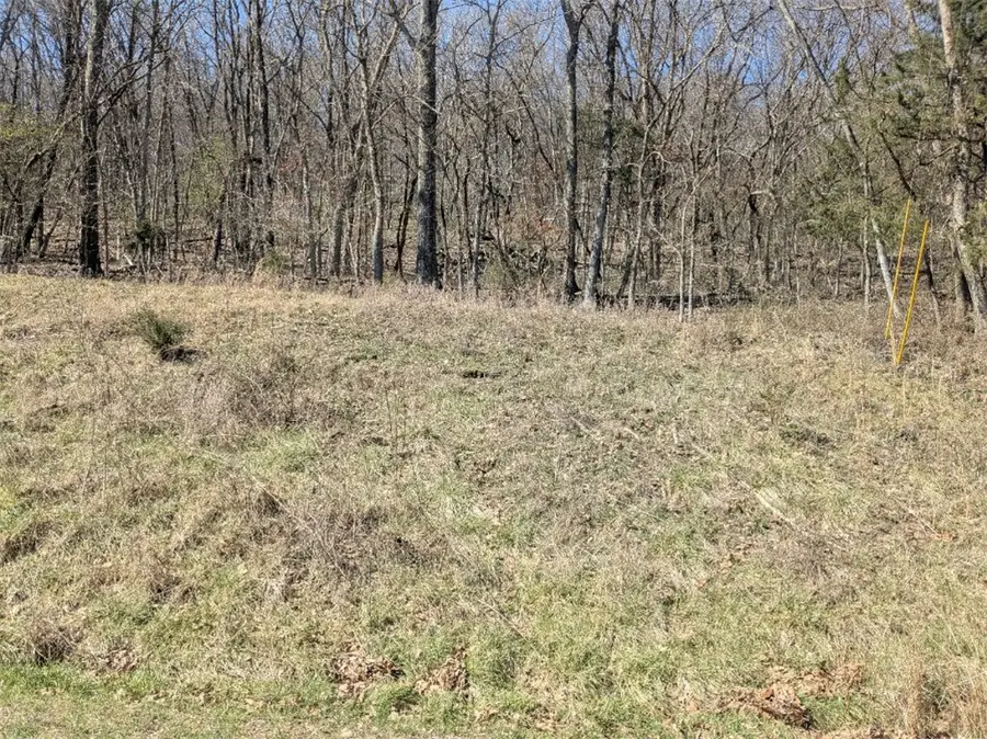 TBD Park Lane, Holiday Island, AR 72631 - #2