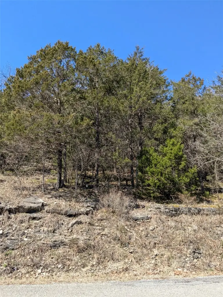 TBD Table Rock Drive, Holiday Island, AR 72631 - #2