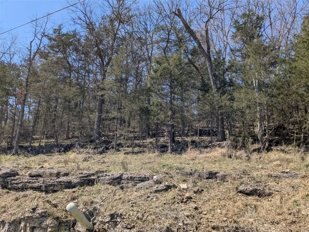 TBD Oakpoint Lane, Holiday Island, AR 72631 - #1