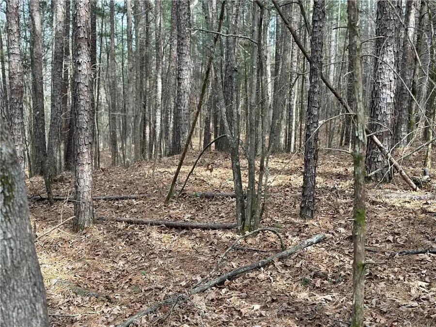 Nc 6220, Jasper, AR 72641 - #3