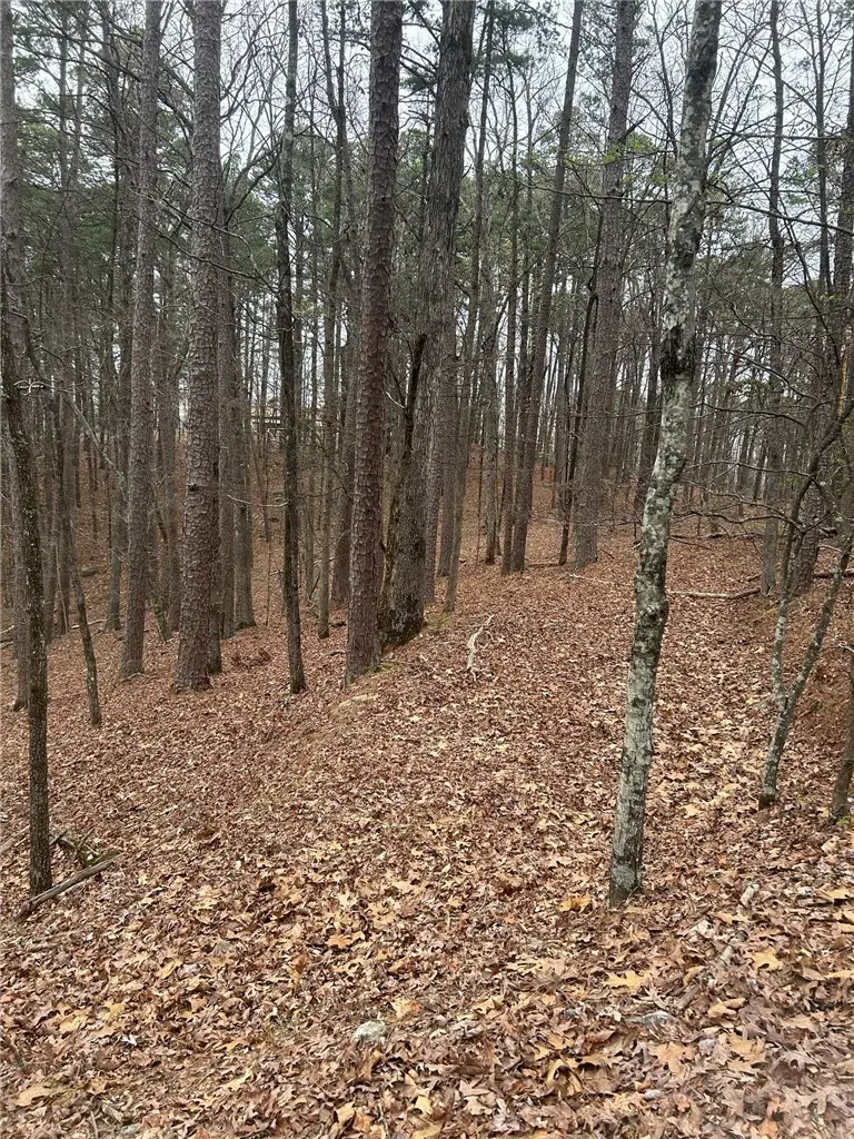 Lot 15 Marbella Way, Hot Springs, AR 71909 - #1