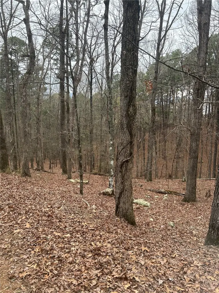 Lot 15 Marbella Way, Hot Springs, AR 71909 - #3
