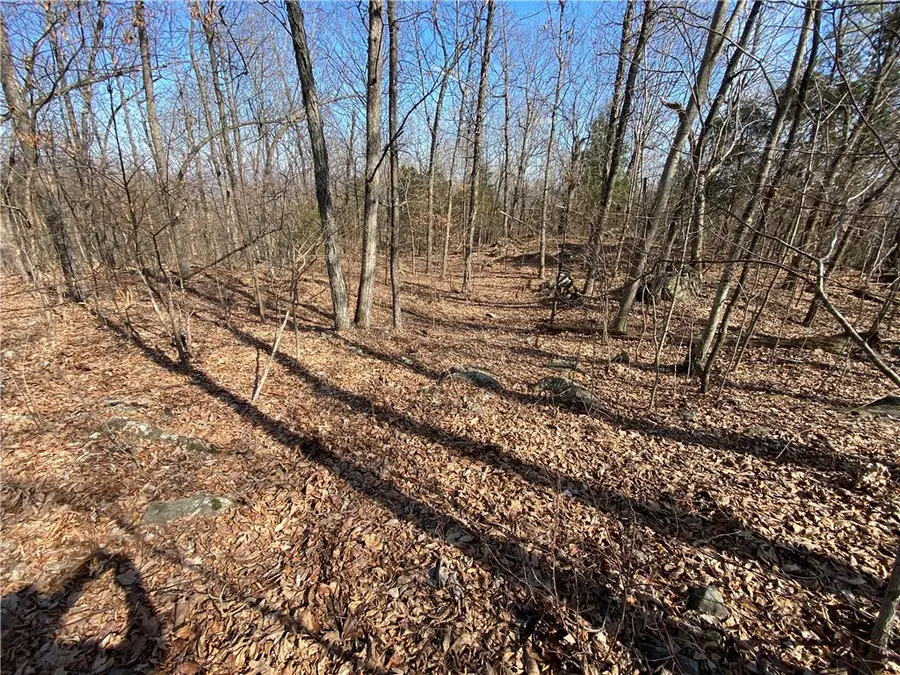 Nc 6020, Jasper, AR 72641 - #2