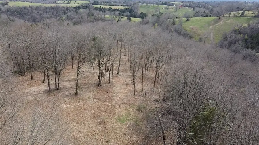 10 acres 123 Highway, Hasty, AR 72640 - #2
