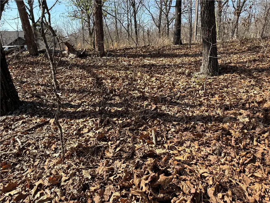 Lot 39 Harwell Lane, Bella Vista, AR 72714 - #3