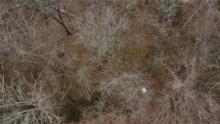 Lot 41 Auldearn Circle, Bella Vista, AR 72715 - #3