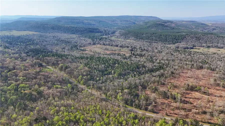 5018 Buttermilk Road, Atkins, AR 72823 - #2