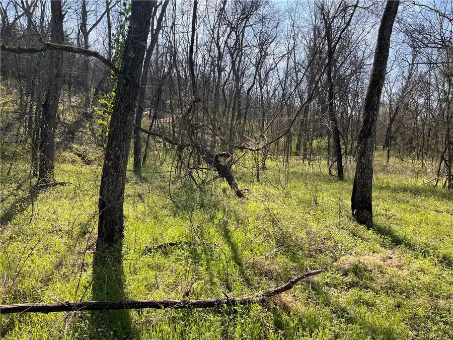 Lot 10 Wey Lane, Bella Vista, AR 72714 - #2