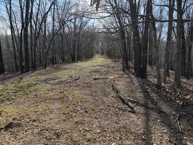 190 Edgewater Drive, Eureka Springs, AR 72631 - #3