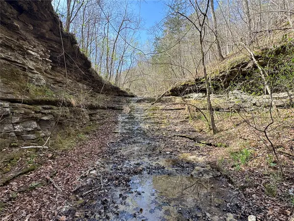 Tract 1 Nc 3015, Jasper, AR 72641