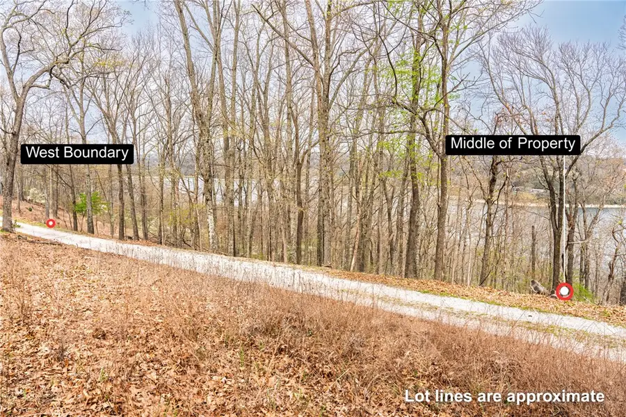 Avian Road, Eureka Springs, AR 72632 - #3