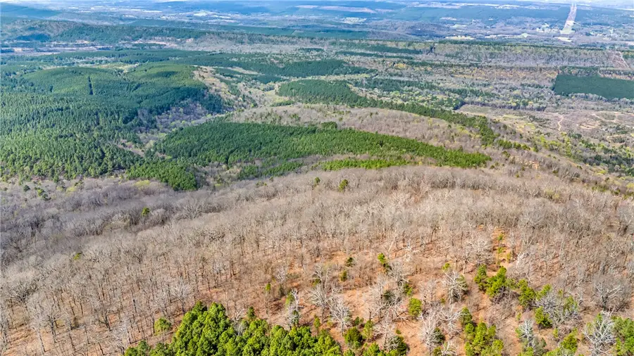 40 Acres, Dardanelle, AR 72834 - #2