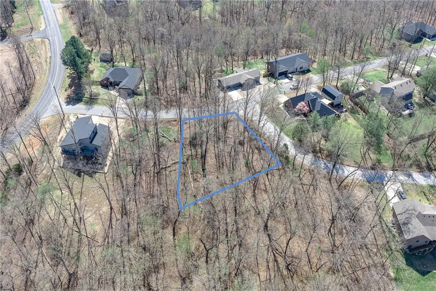 Lot 3 Damerham Lane, Bella Vista, AR 72714 - #3