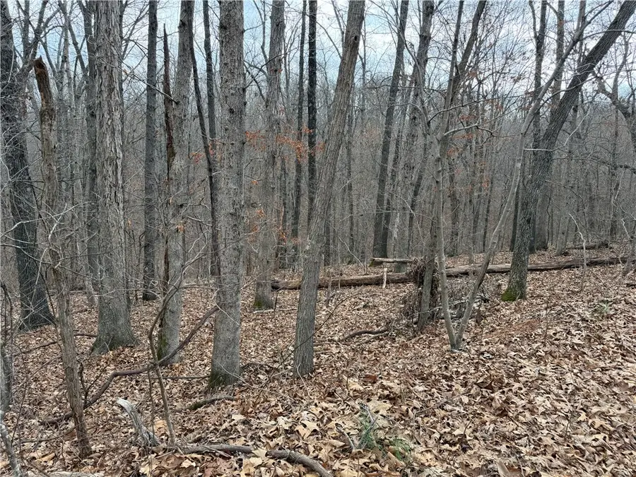 Celtic Drive, Bella Vista, AR 72714 - #2