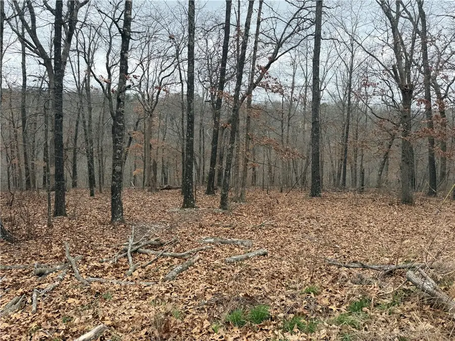 Glemsford Drive, Bella Vista, AR 72714 - #2