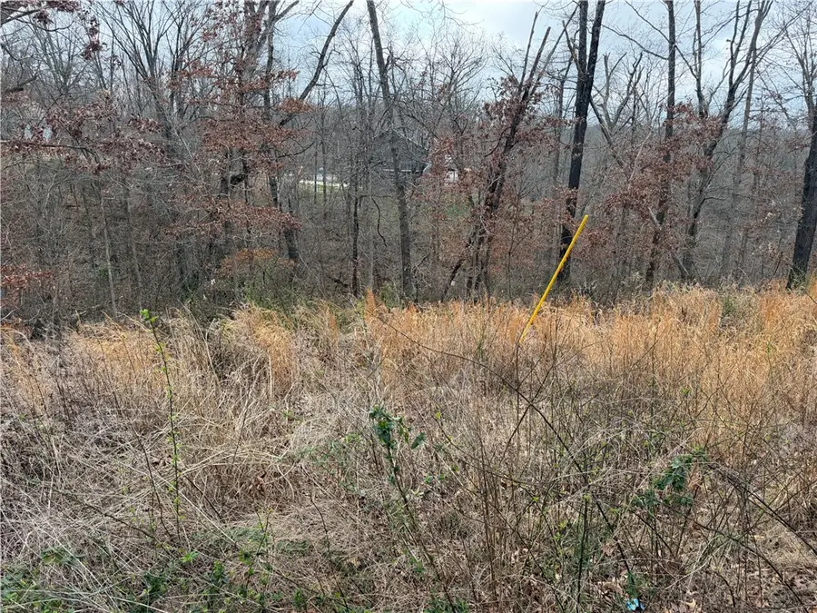 Ludborough Lane, Bella Vista, AR 72715 - #2