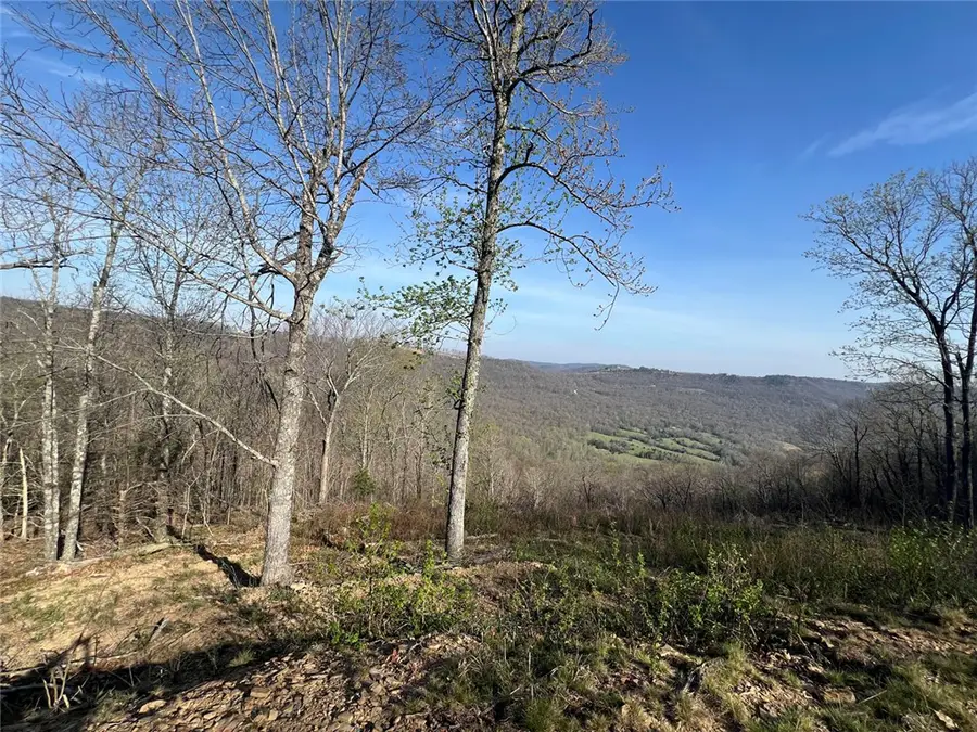 TBD-J Nc 6827, Jasper, AR 72641 - #2