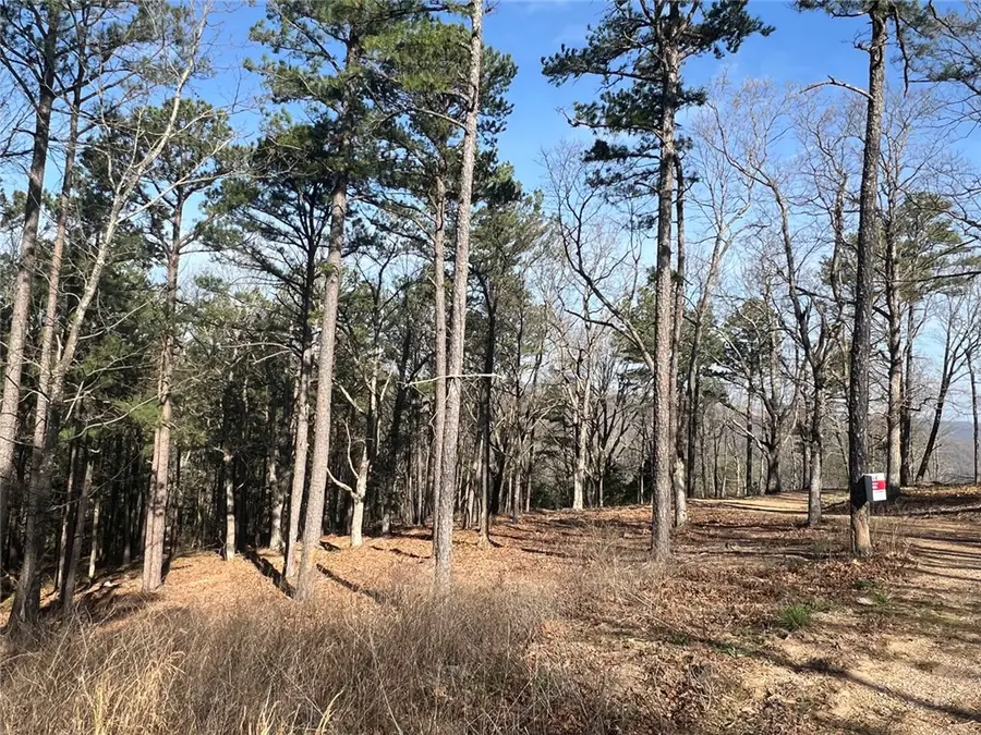 TBD-J Nc 6827, Jasper, AR 72641 - #3