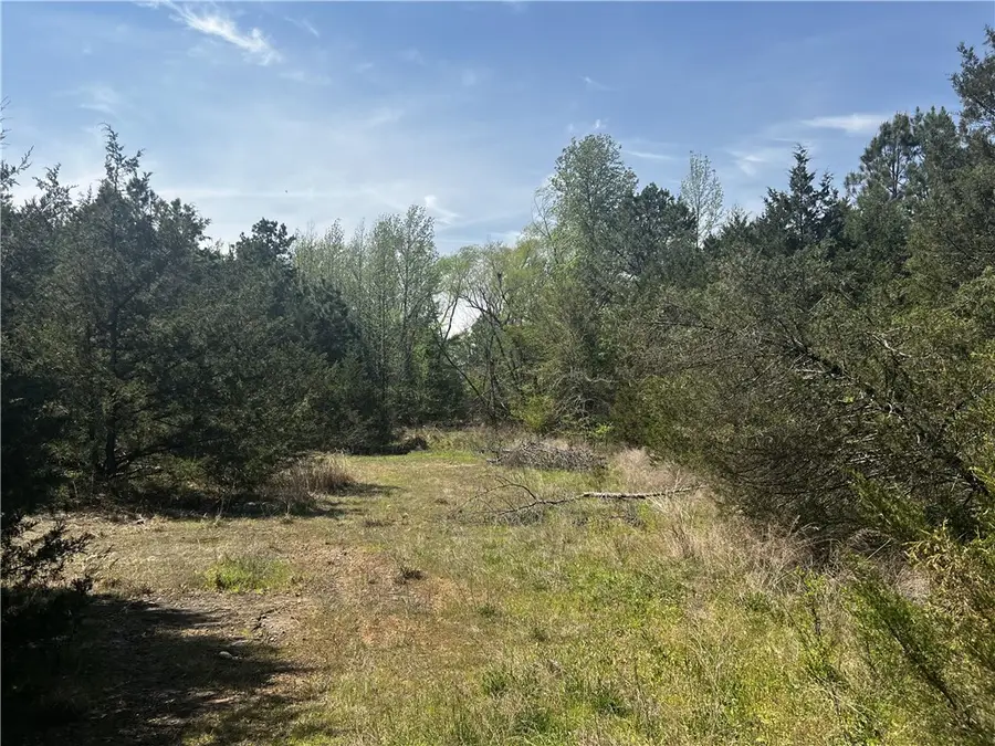 3305 N Jackson Avenue, Russellville, AR 72802 - #3