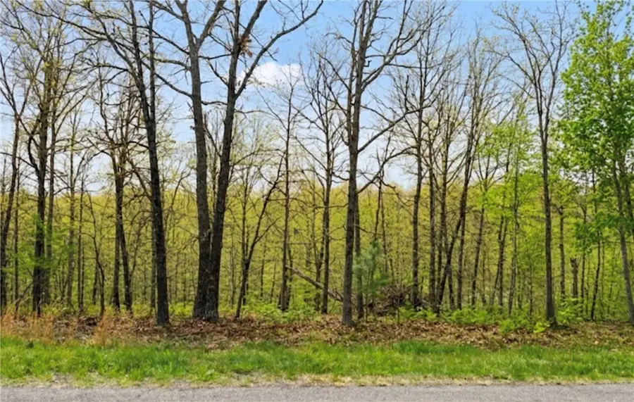 Lot 3 Halladale Lane, Bella Vista, AR 72715 - #2