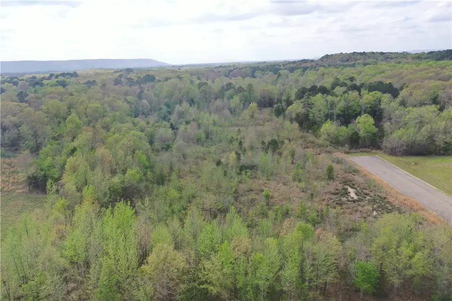 Arrow Drive, Morrilton, AR 72110 - #2