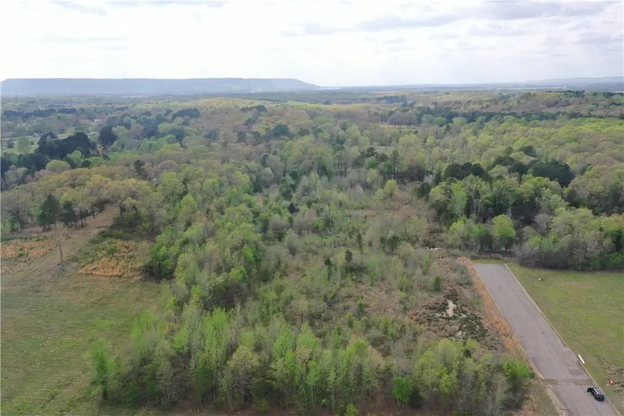 Arrow Drive, Morrilton, AR 72110 - #3