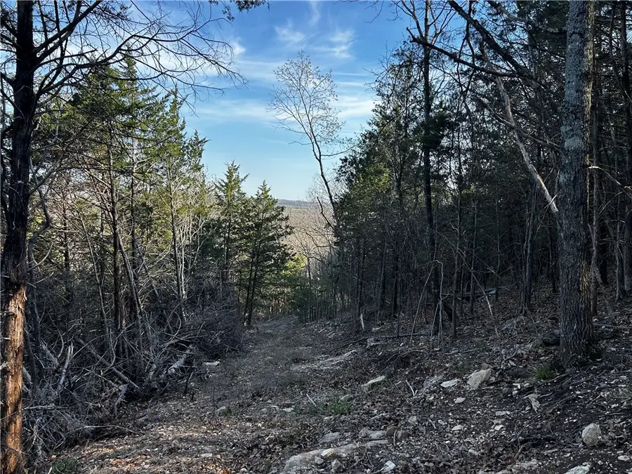 47 AC N 281 Highway, Lead Hill, AR 72644 - #2