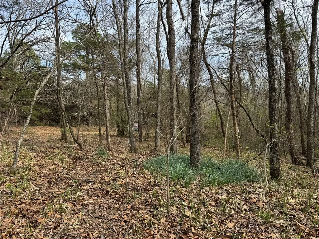 000 Nc 5083, Mount Judea, AR 72655 - #1