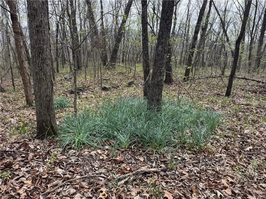 000 Nc 5083, Mount Judea, AR 72655 - #3