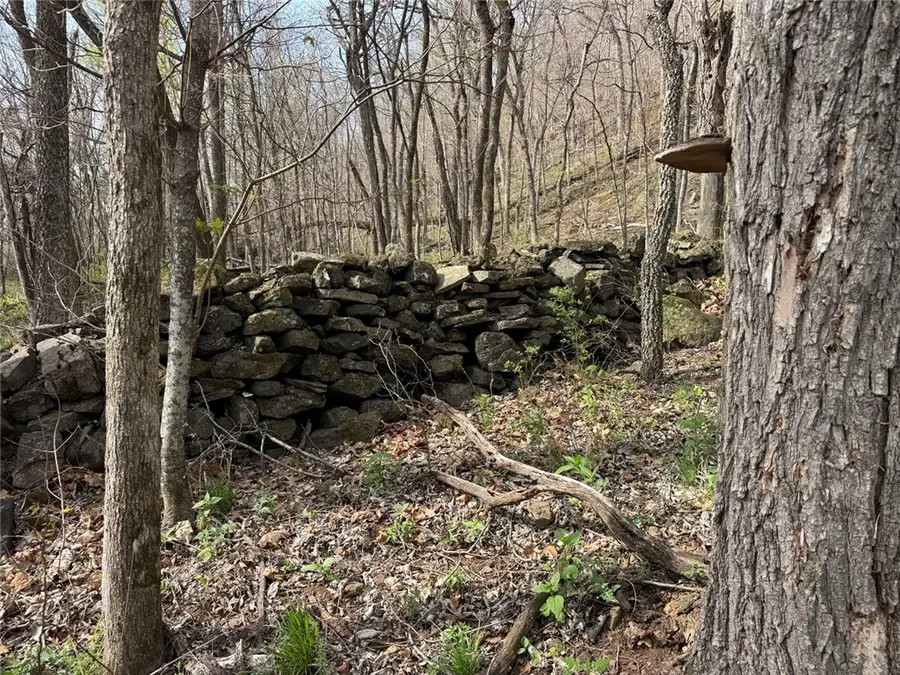 TBD Nc 5083, Mount Judea, AR 72655 - #2