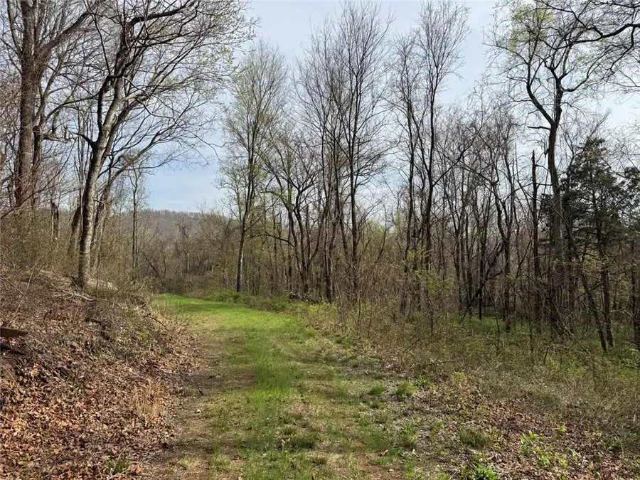 TBD Nc 5083, Mount Judea, AR 72655 - #3